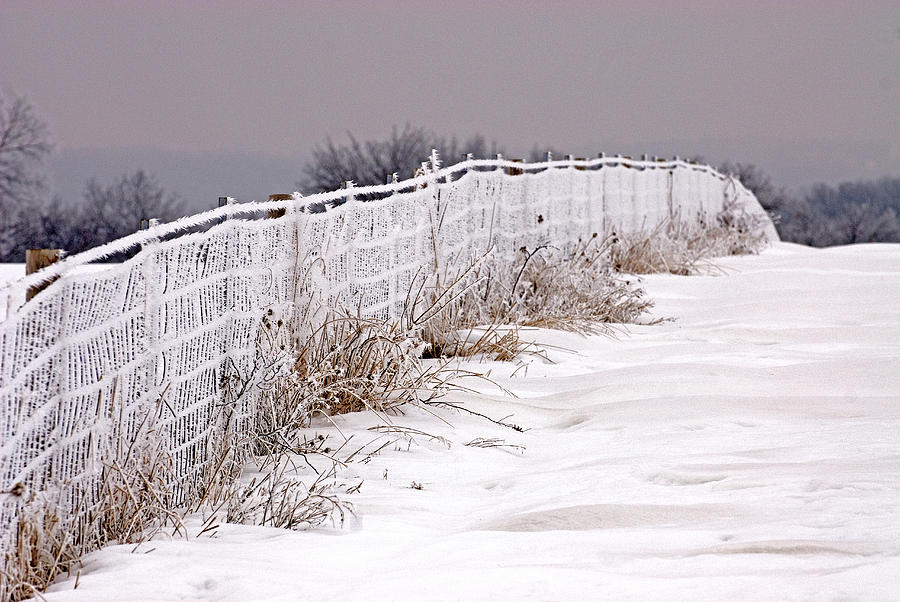 Fence Covered With Snow And Rime Photograph by James Steinberg