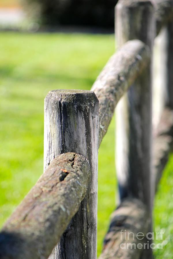 Fence Photograph by Deena Withycombe