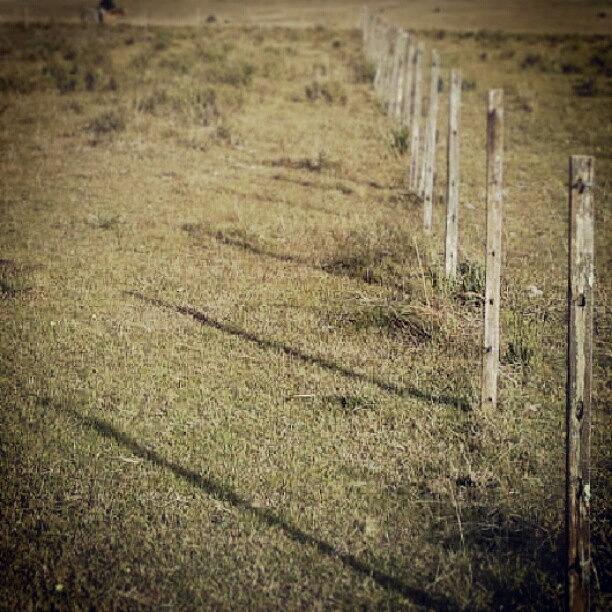 Nature Photograph - #fence #divide #country #nature
Grass by Juan Parafiniuk