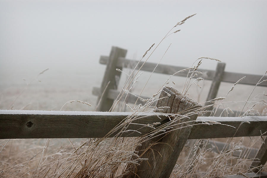 Fence fog frost Photograph by Jerry Daniel