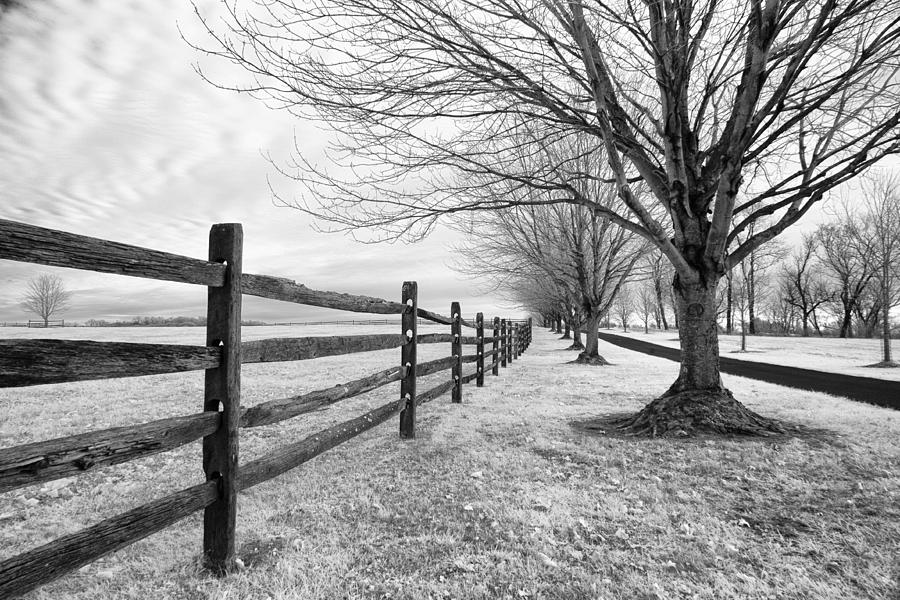 Fence Photograph by Gary Regulski