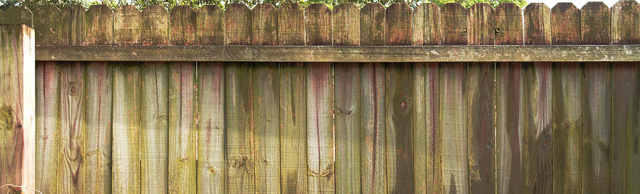 Fence Photograph by Ginny Schmidt