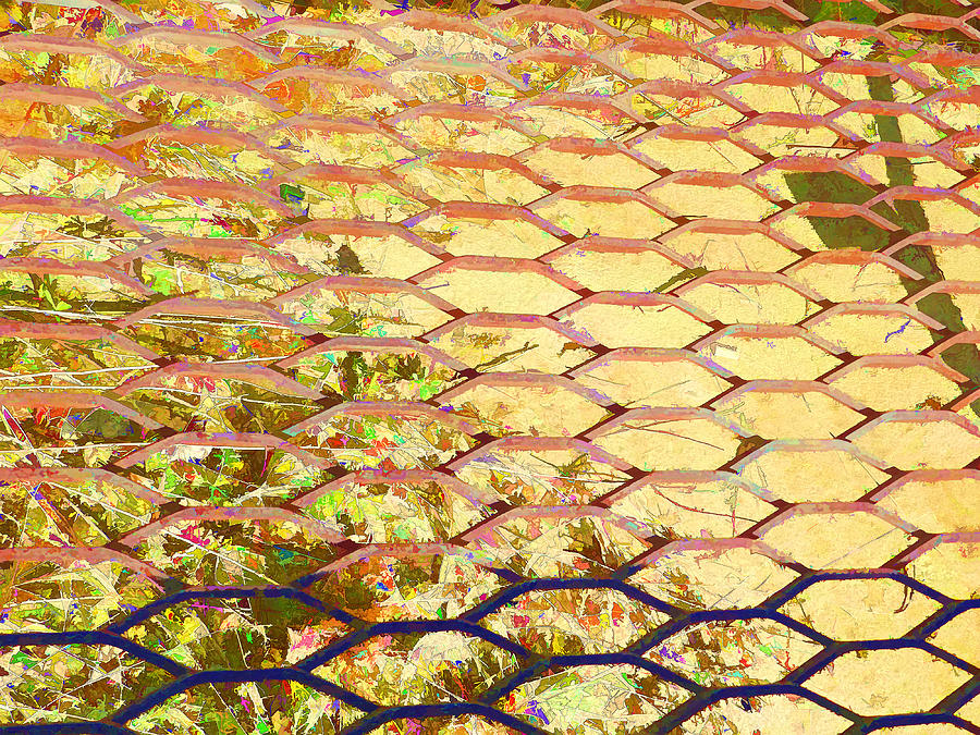 Fence in Abstract  Photograph by Cathy Anderson