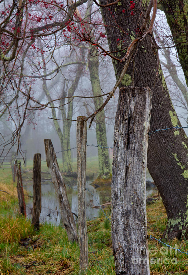 Fence in Cades Cove Photograph by Douglas Stucky