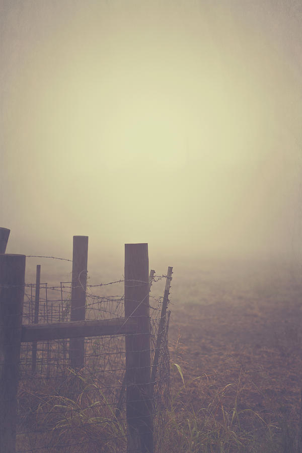Fence In Fog Photograph by Julia Goss