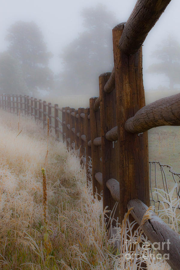 Fence Photograph - Fence in the fog by John Kyler