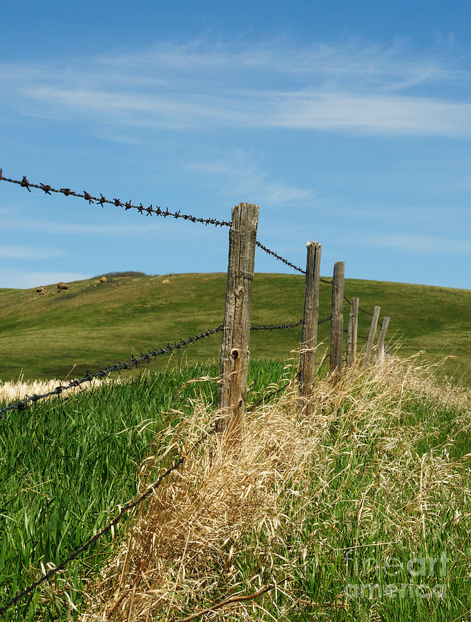 Fence in the Foothills Photograph by Vivian Christopher