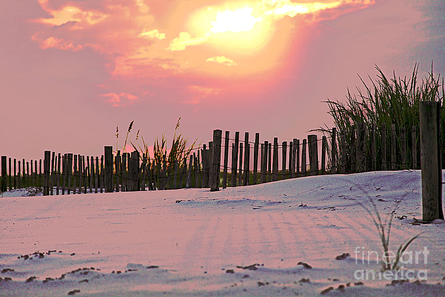 Fence in the Sand Photograph by Luana K Perez