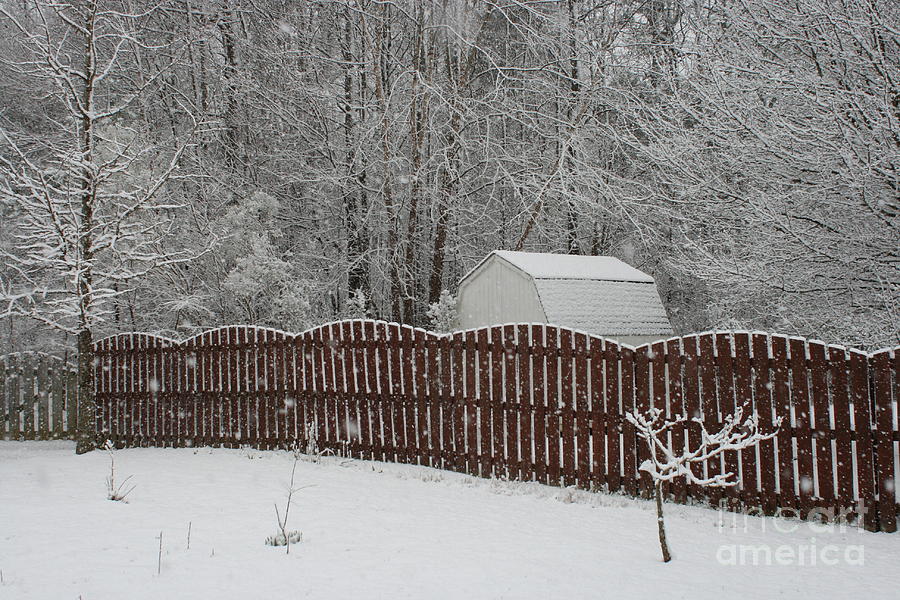 Fence in the Snow Photograph by Stan Reckard
