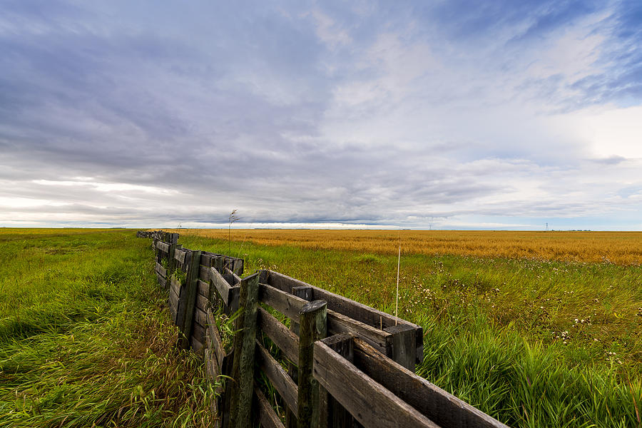 Fence Landscape Photograph by Nebojsa Novakovic