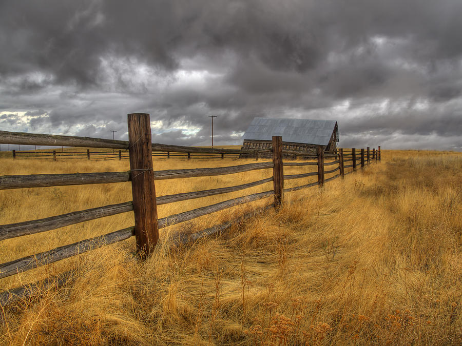 Fence line in Storm Photograph by Jean Noren