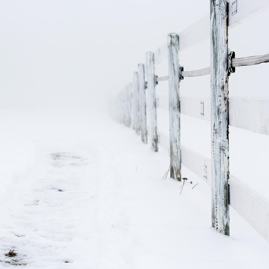 Christmas Photograph - Fence line in the fog by Aldona Pivoriene