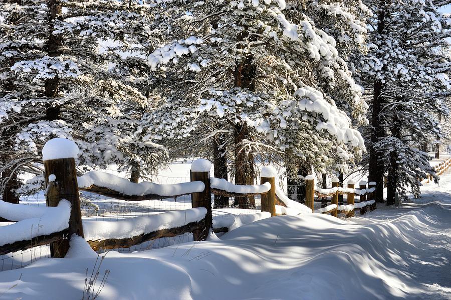 Snow Photograph - Fence Line by Jacqui Binford-Bell