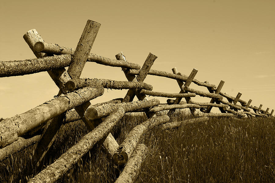 Fence line Photograph by John Freidenberg