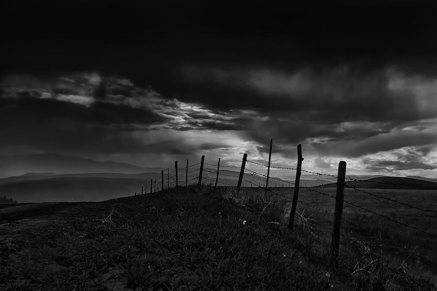 Fence Line  Photograph by Theresa Tahara