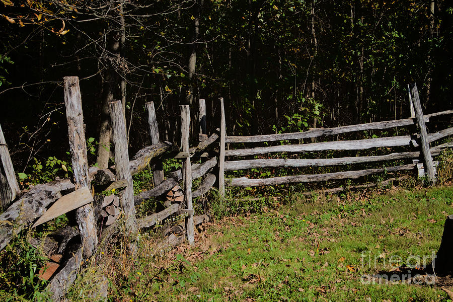 Fence Line Photograph by William Norton