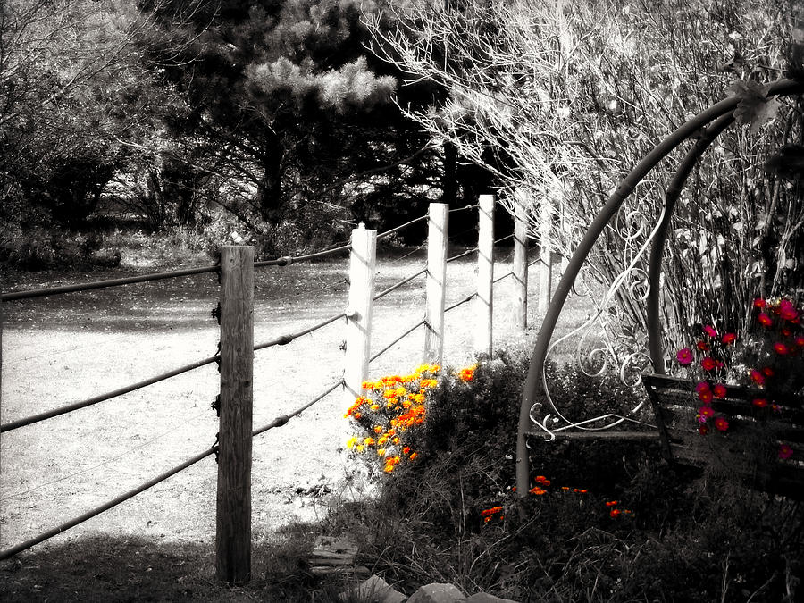 Flower Photograph - Fence near the Garden by Julie Hamilton
