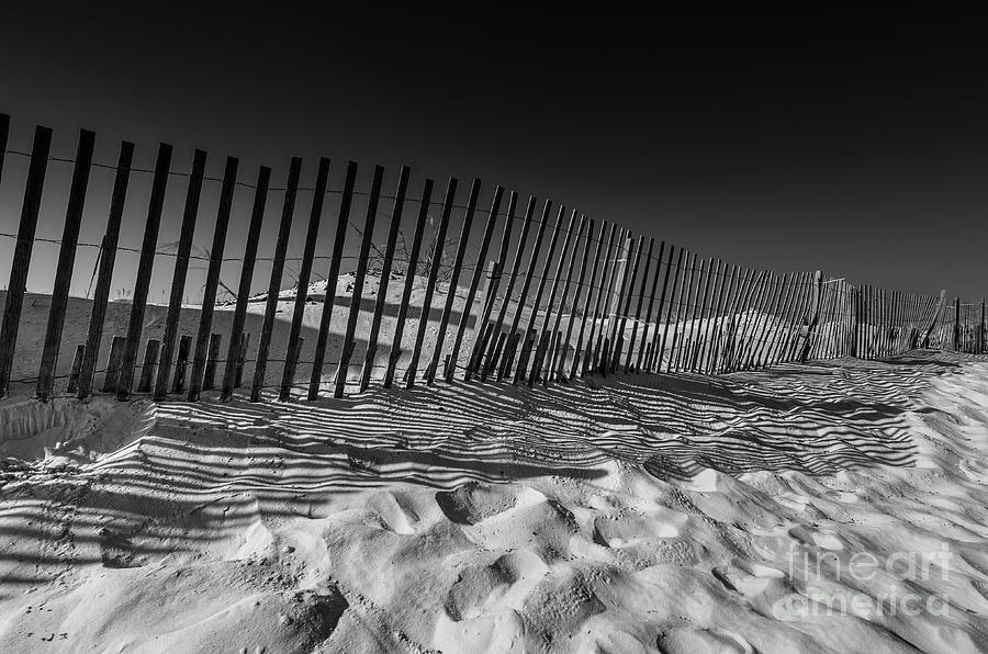Fence on Beach Photograph by Danny Hooks