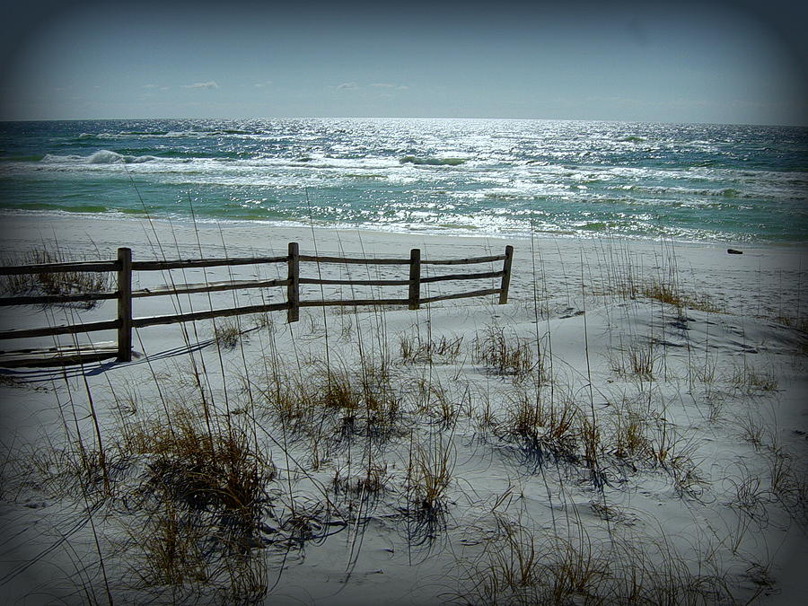 Fence on the Beach in Florida Photograph by Toni and Rene Maggio