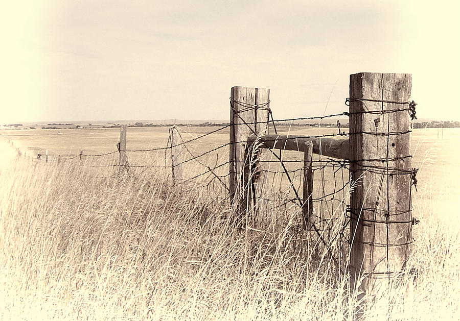Fence on the Prairie Photograph by HW Kateley