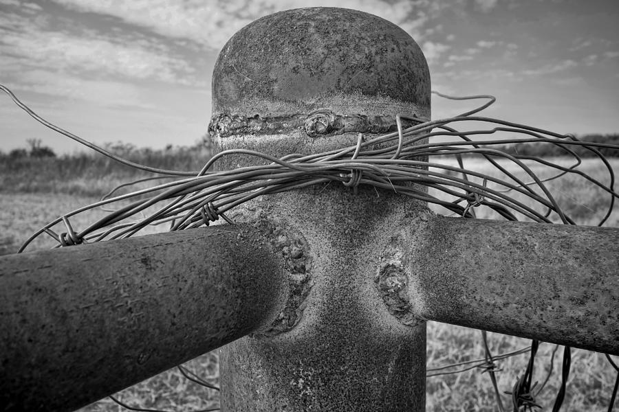 Fence Post And Barbeb Wire  - black and white photography Photograph by Ann Powell