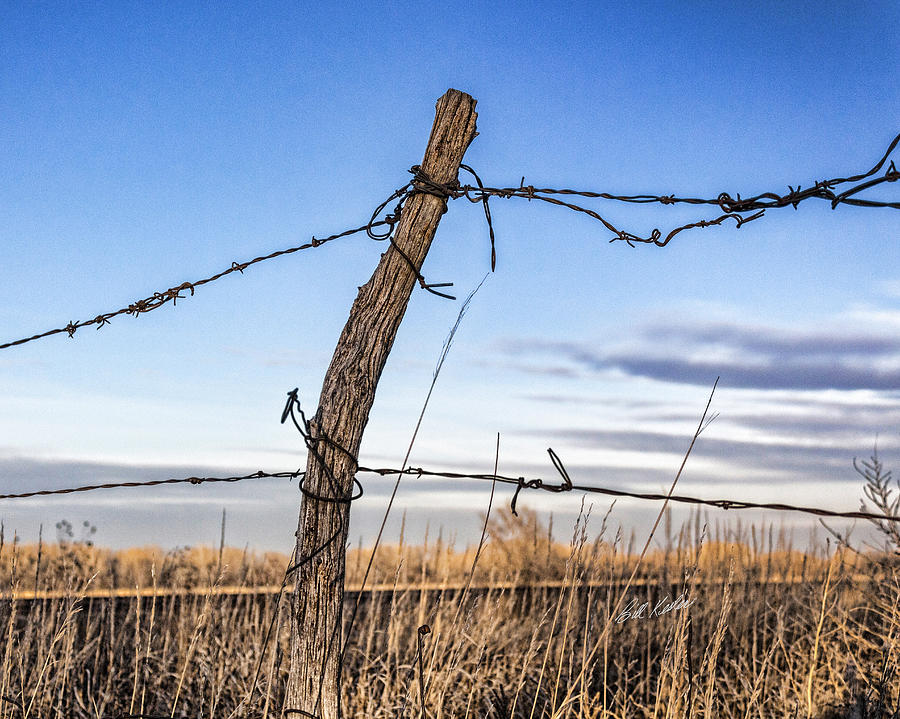 Fence Post and Barbed Wire Photograph by Bill Kesler