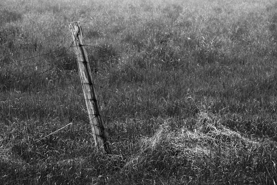 Fence Post and Grasses Photograph by Jim Vance