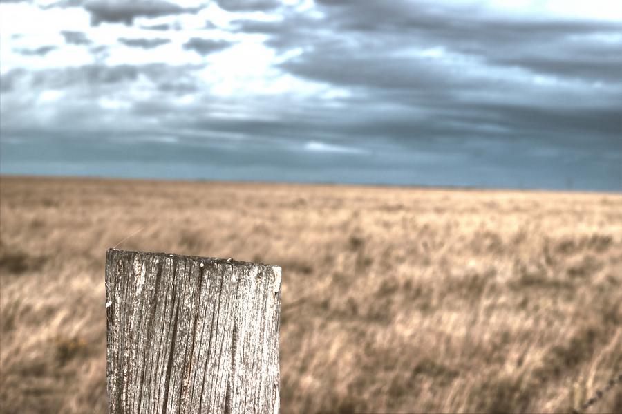 Fence Post and Prairie Painting by Scott Carlton
