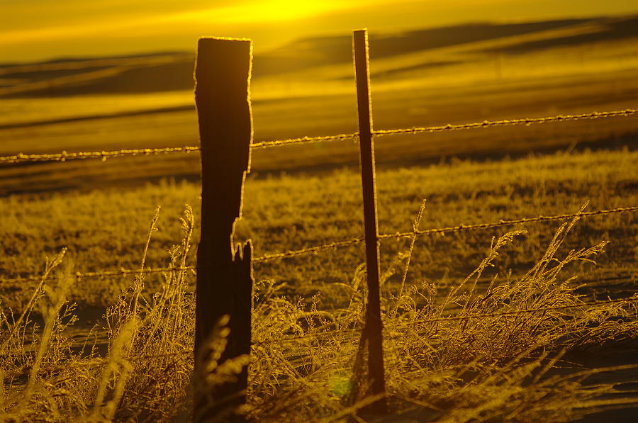 Fence Post In The Morning Light Photograph by Jeff Swan