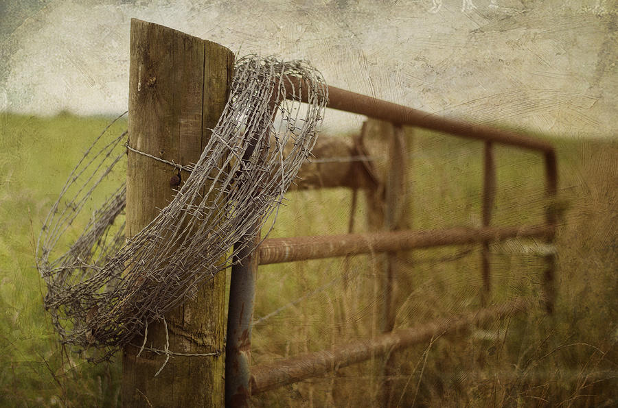 Farm Photograph - Fence Post by Kathy Jennings