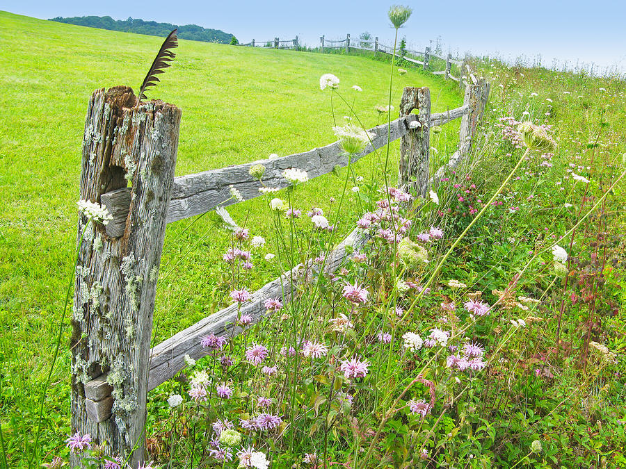 Fence Post Photograph by Melinda Fawver