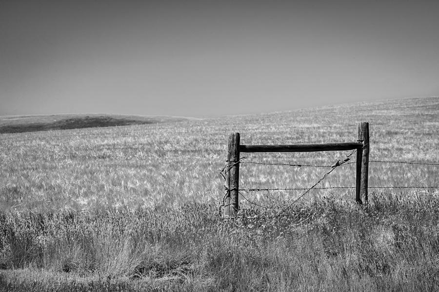 Fence Post Near Choteau Montana BW Photograph by Rich Franco