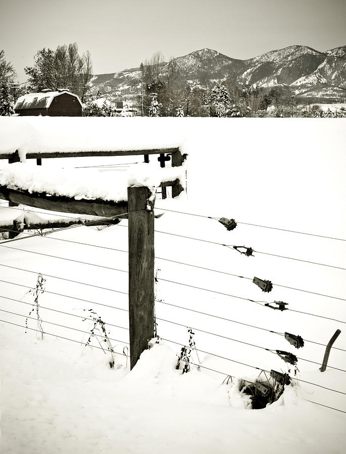 Fence Pulls in Winter Photograph by Marilyn Hunt