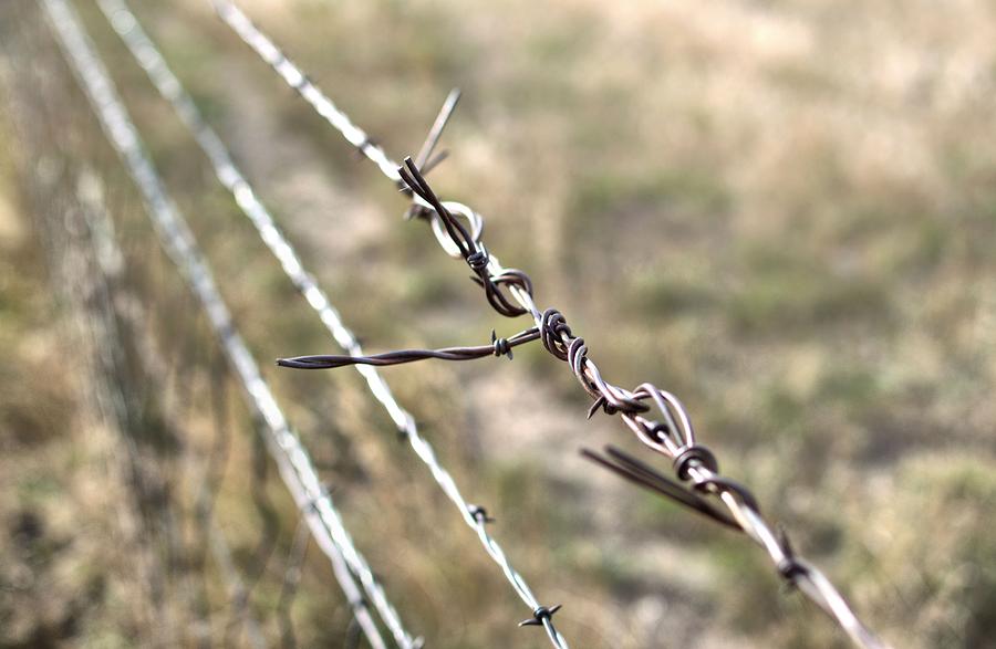 barbed wire fence repair