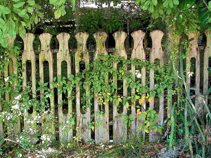 Fence Seven Photograph by Strangefire Art       Scylla Liscombe