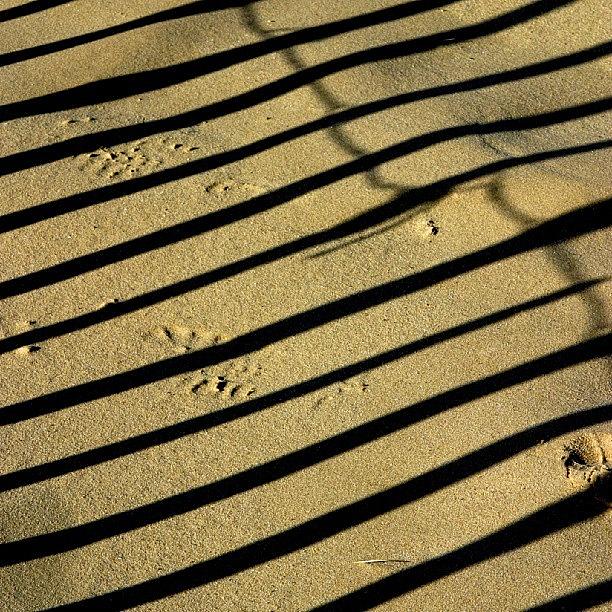 Beach Photograph - Fence shadow and footprints on a beach by Tony Webb