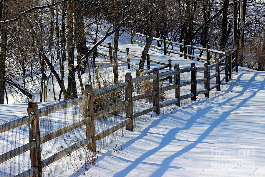 Fence Shadows in Winter Color Photograph by Karen Adams