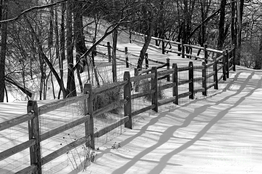 Fence Shadows in Winter Photograph by Karen Adams