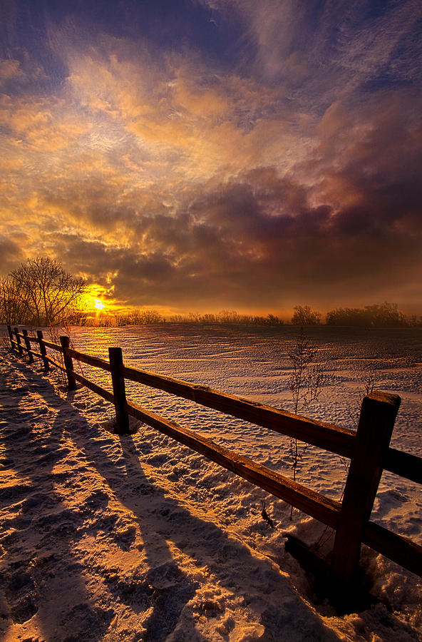 Fence Walking Photograph by Phil Koch