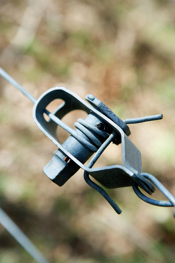 Fence Wire Tightener Photograph by Gustoimages/science Photo