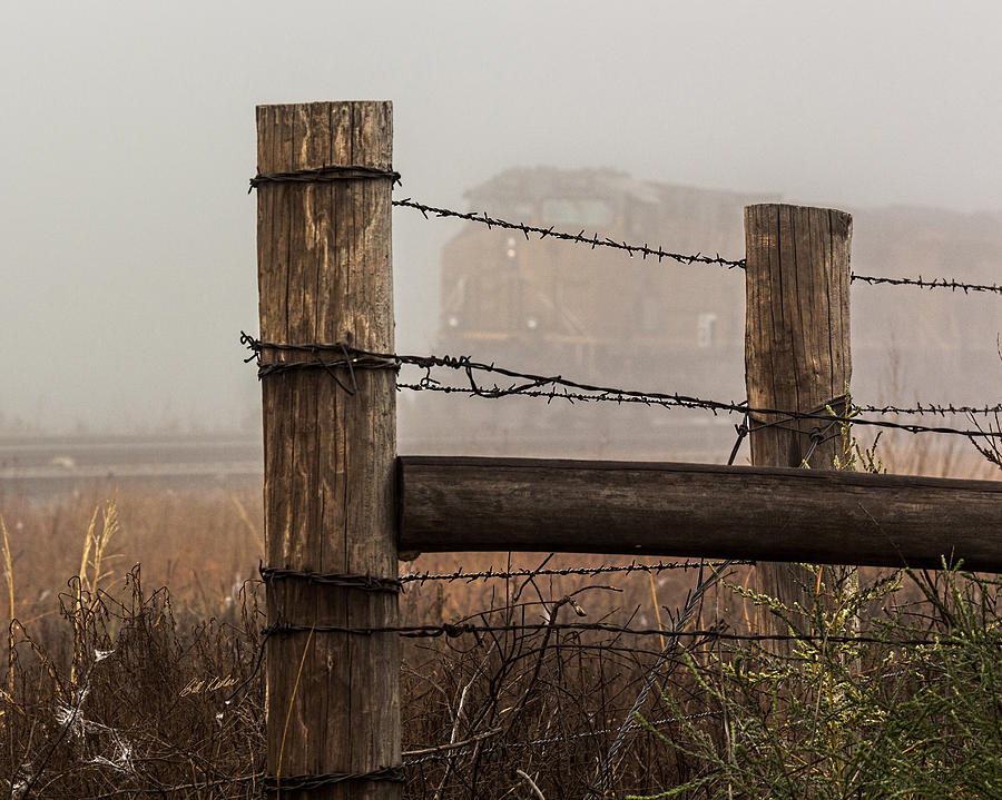Fall Photograph - Fenced In by Bill Kesler