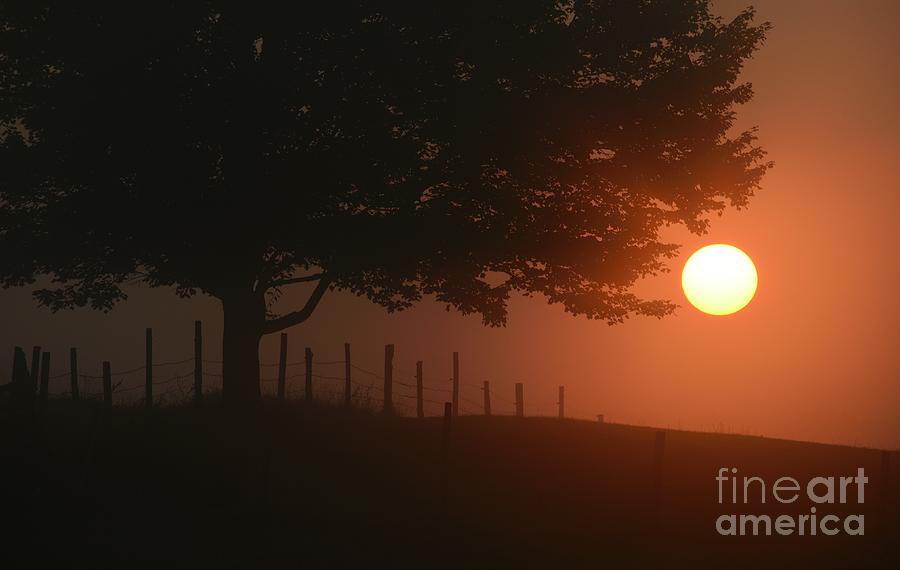 Landscape Photograph - Fenced In by Paul Noble