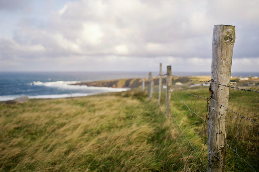 Fenceline Along Hill Above Ocean And Photograph by Danielle D. Hughson
