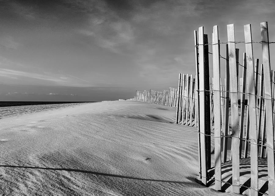 Black And White Photograph - Fenceline by Andrew  Craig