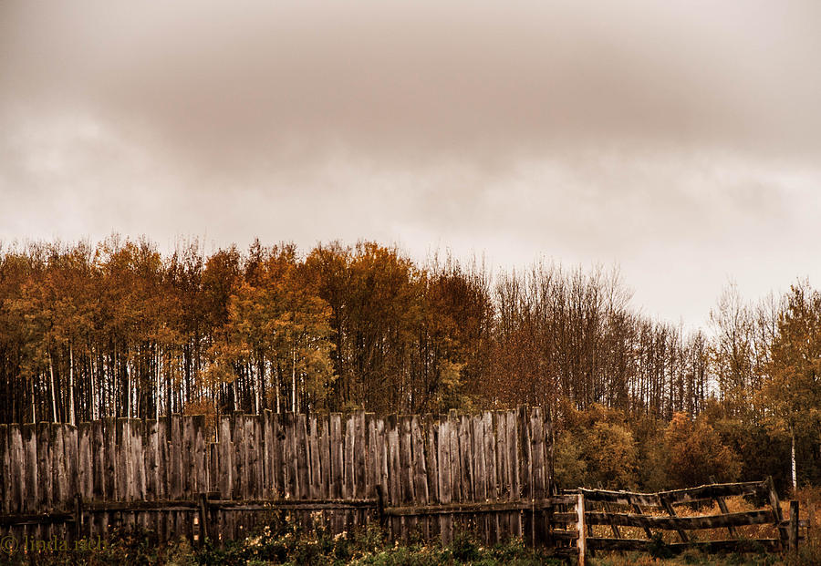 Fall Photograph - Fenceline by Linda Rich