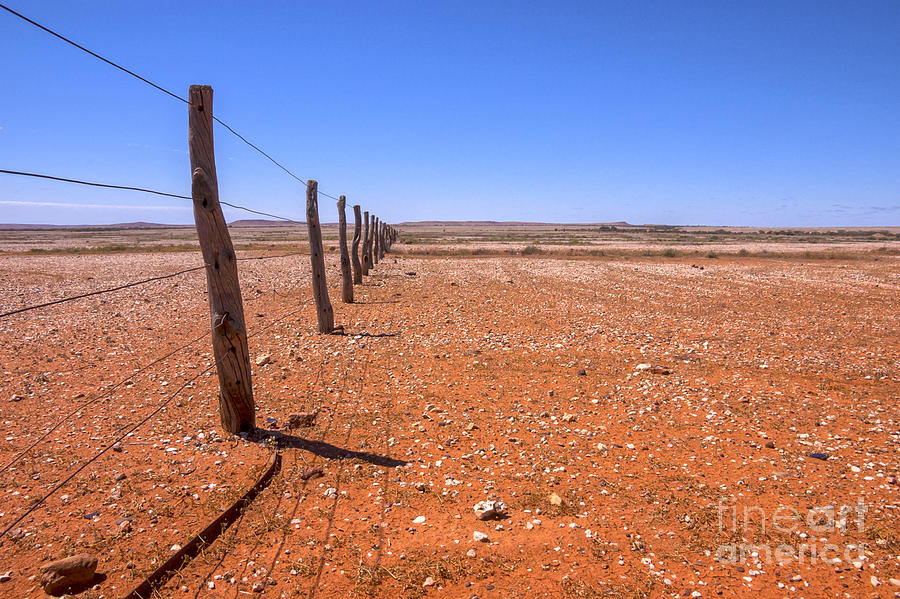 Desert Photograph - Fenceline Outback Australia by Colin and Linda McKie