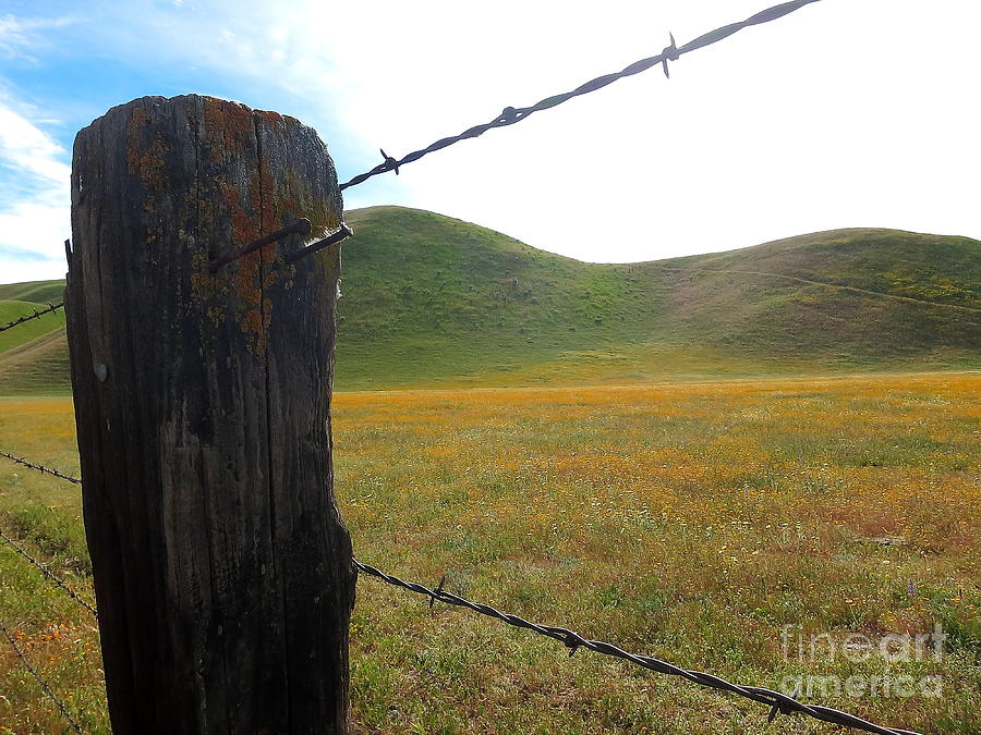 Spring Photograph - Fencepost on the 58 by Paul Foutz