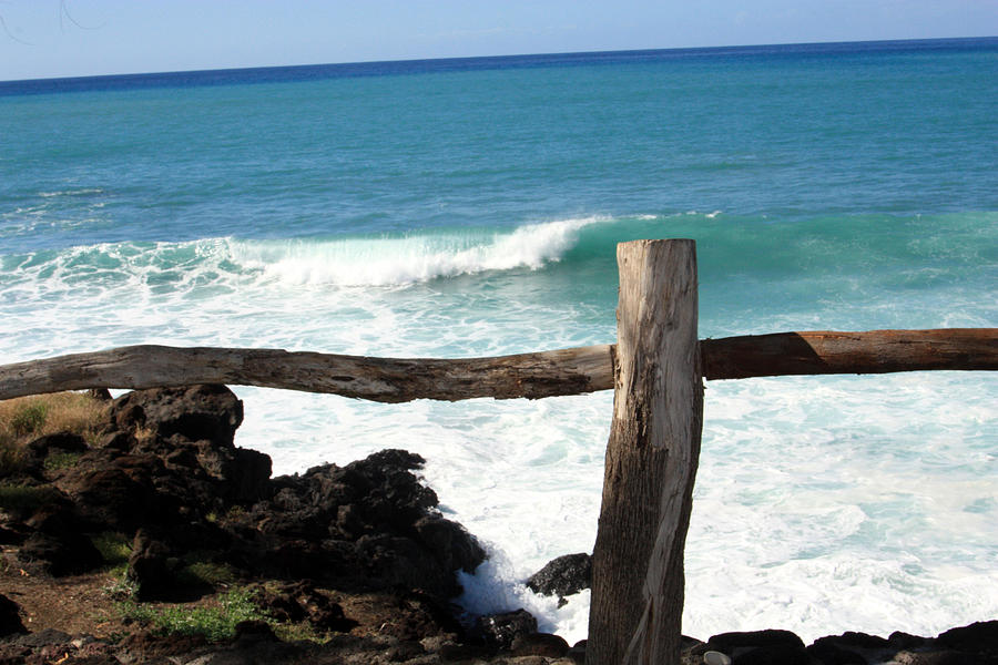 Fencepost on the Pacific Photograph by Karen Nicholson