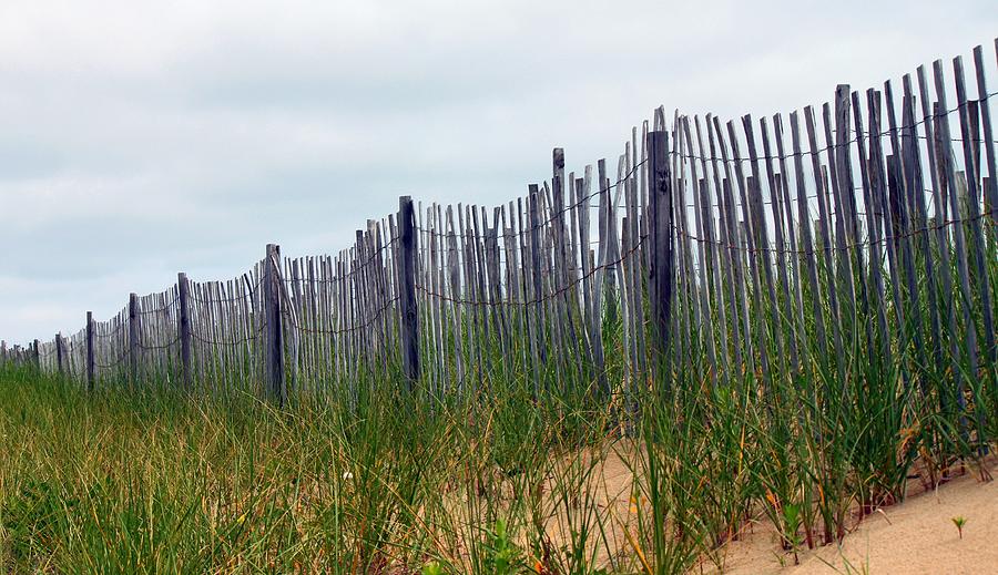 Fences And Sea Grass Photograph