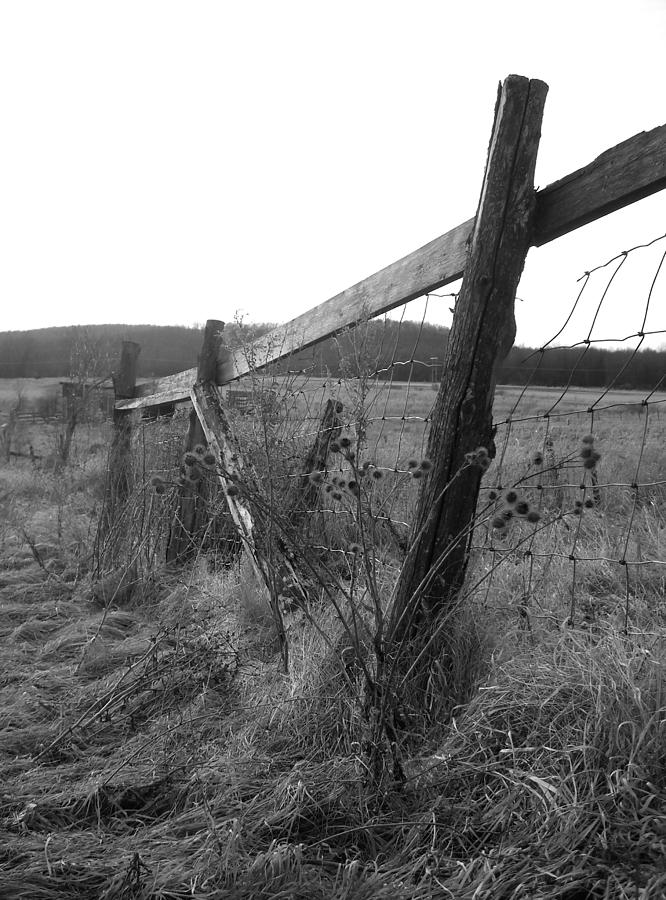 Fences Black and White I Photograph by Ishana Ingerman